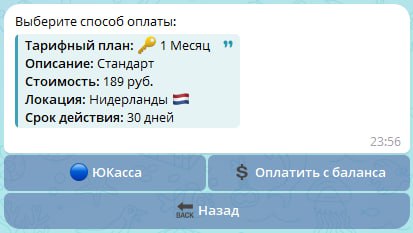 Шаг 1 — получение инструкции YoVPS